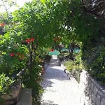 Miljenko - Matovica *